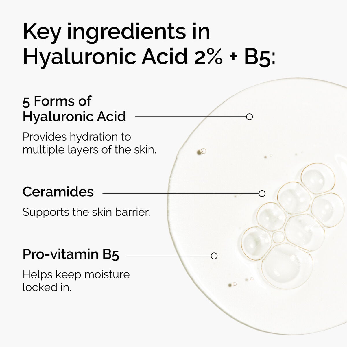 hyaluronic-acid-2-b5-with-ceramides-g4 ord-hyaluronic-acid-2pct-b5-hydrating-serum-ingredients-graphic.jpg