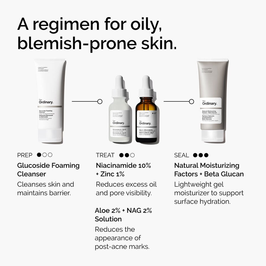 niacinamide-10-zinc-1-b6 ord-niacinamide-10-zinc-aloe-nag-regimen-graphic.jpg